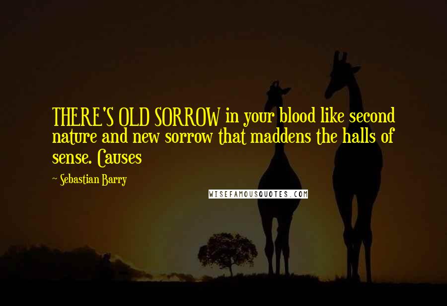Sebastian Barry Quotes: THERE'S OLD SORROW in your blood like second nature and new sorrow that maddens the halls of sense. Causes