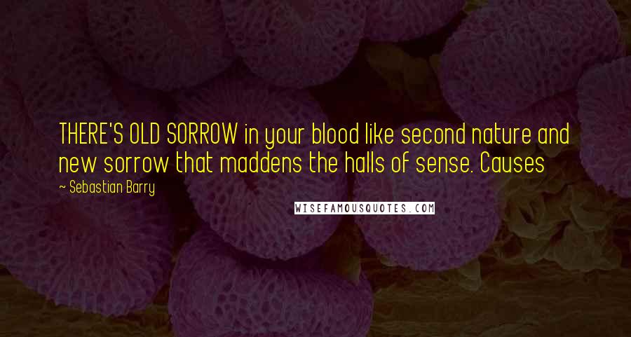 Sebastian Barry Quotes: THERE'S OLD SORROW in your blood like second nature and new sorrow that maddens the halls of sense. Causes