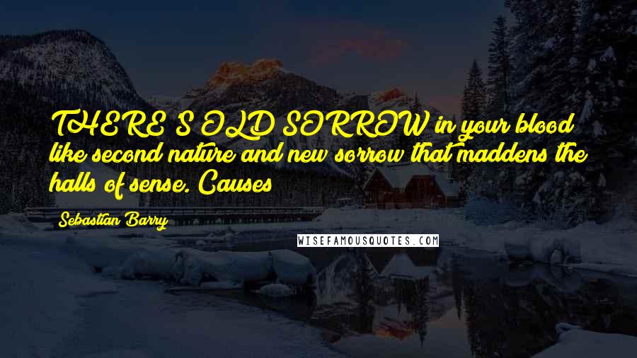 Sebastian Barry Quotes: THERE'S OLD SORROW in your blood like second nature and new sorrow that maddens the halls of sense. Causes