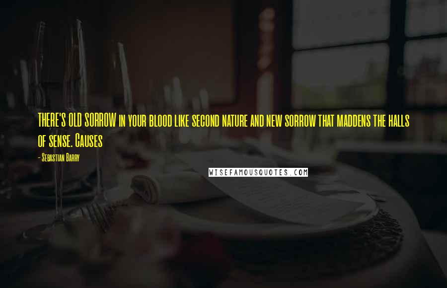 Sebastian Barry Quotes: THERE'S OLD SORROW in your blood like second nature and new sorrow that maddens the halls of sense. Causes