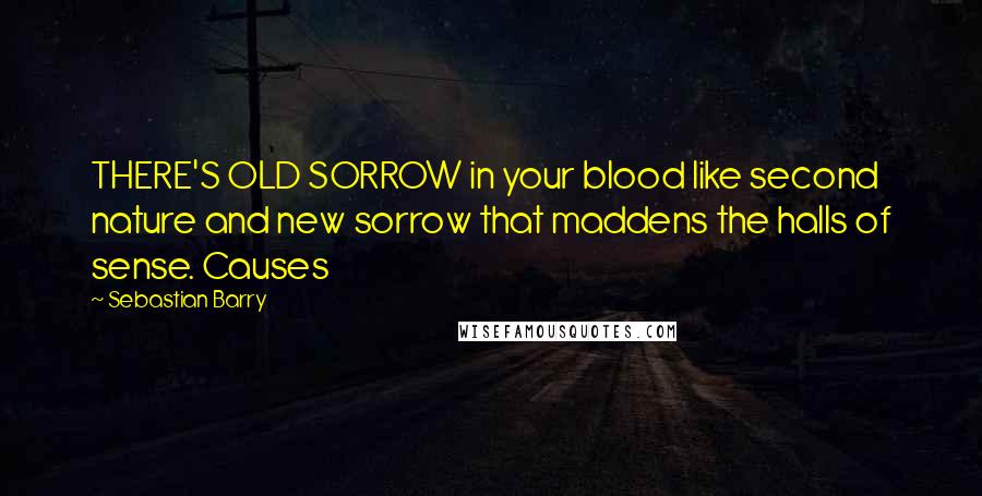Sebastian Barry Quotes: THERE'S OLD SORROW in your blood like second nature and new sorrow that maddens the halls of sense. Causes
