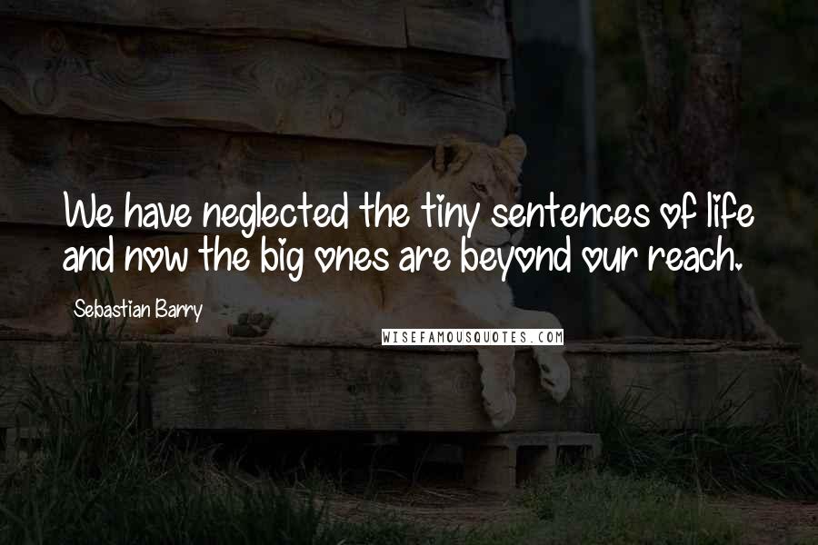 Sebastian Barry Quotes: We have neglected the tiny sentences of life and now the big ones are beyond our reach.