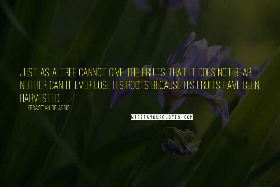 Sebastian De Assis Quotes: Just as a tree cannot give the fruits that it does not bear, neither can it ever lose its roots because its fruits have been harvested.
