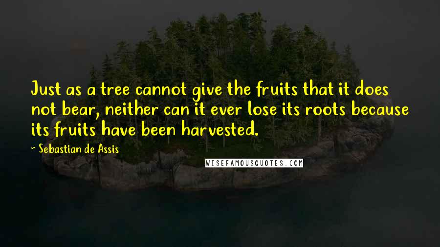 Sebastian De Assis Quotes: Just as a tree cannot give the fruits that it does not bear, neither can it ever lose its roots because its fruits have been harvested.