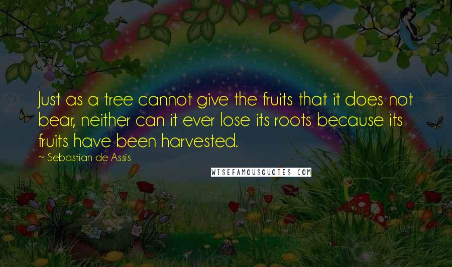 Sebastian De Assis Quotes: Just as a tree cannot give the fruits that it does not bear, neither can it ever lose its roots because its fruits have been harvested.