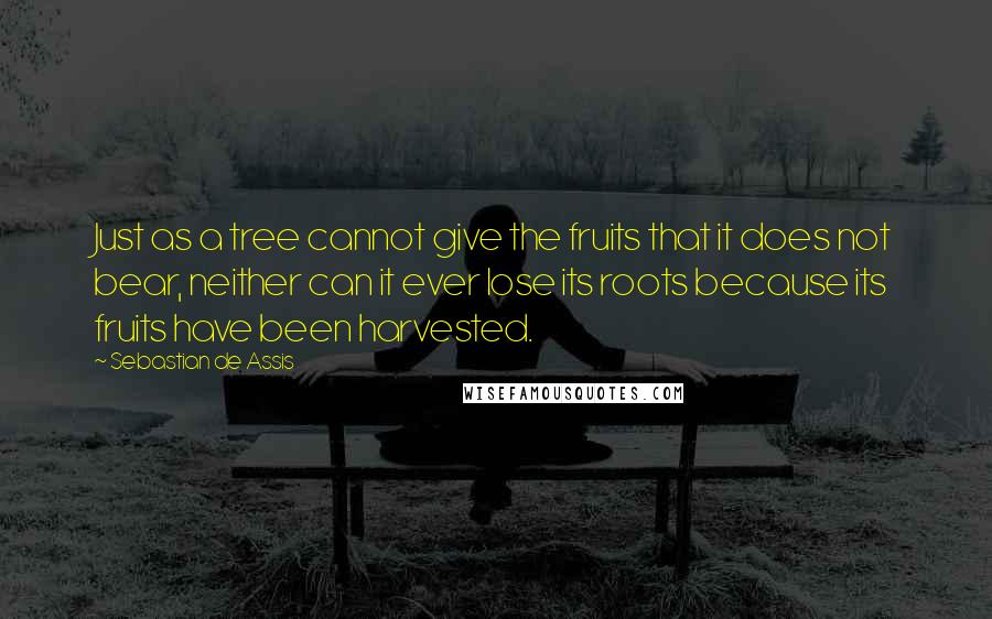 Sebastian De Assis Quotes: Just as a tree cannot give the fruits that it does not bear, neither can it ever lose its roots because its fruits have been harvested.