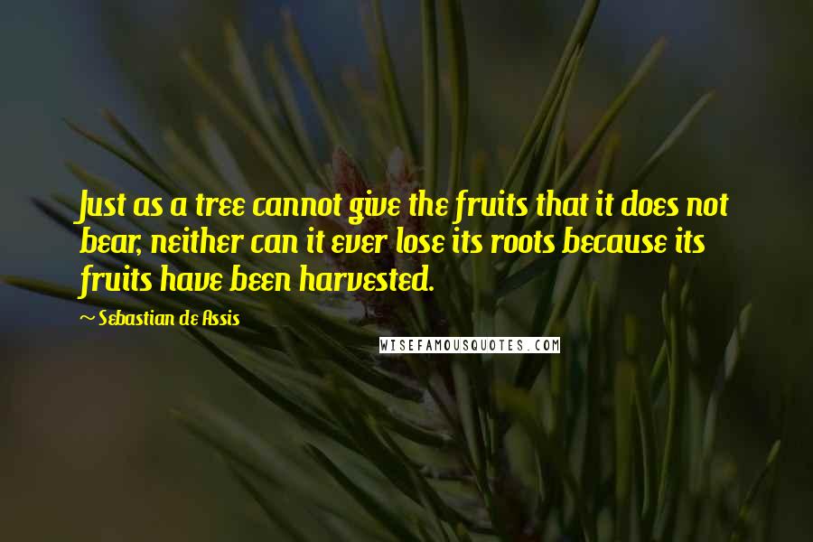 Sebastian De Assis Quotes: Just as a tree cannot give the fruits that it does not bear, neither can it ever lose its roots because its fruits have been harvested.