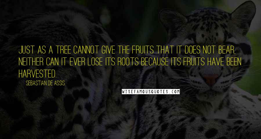 Sebastian De Assis Quotes: Just as a tree cannot give the fruits that it does not bear, neither can it ever lose its roots because its fruits have been harvested.