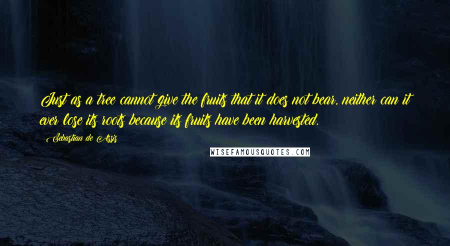 Sebastian De Assis Quotes: Just as a tree cannot give the fruits that it does not bear, neither can it ever lose its roots because its fruits have been harvested.