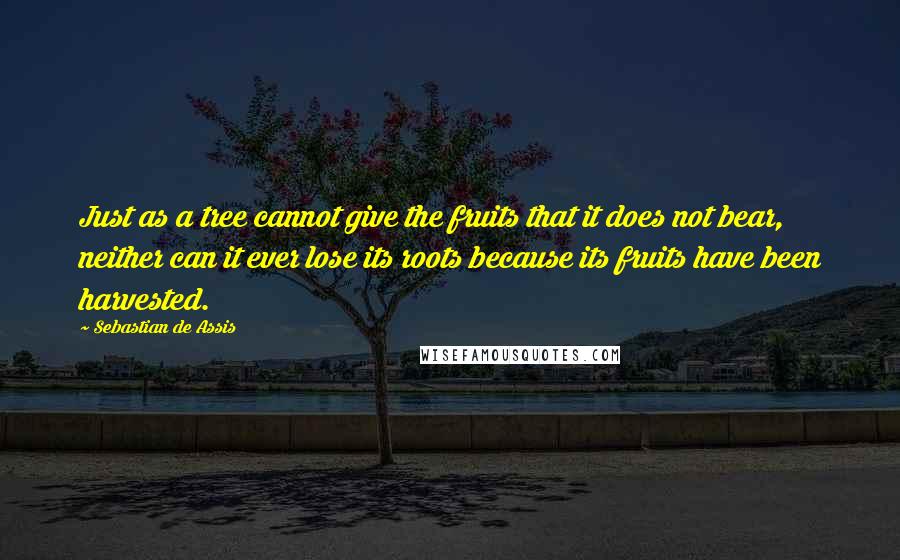 Sebastian De Assis Quotes: Just as a tree cannot give the fruits that it does not bear, neither can it ever lose its roots because its fruits have been harvested.