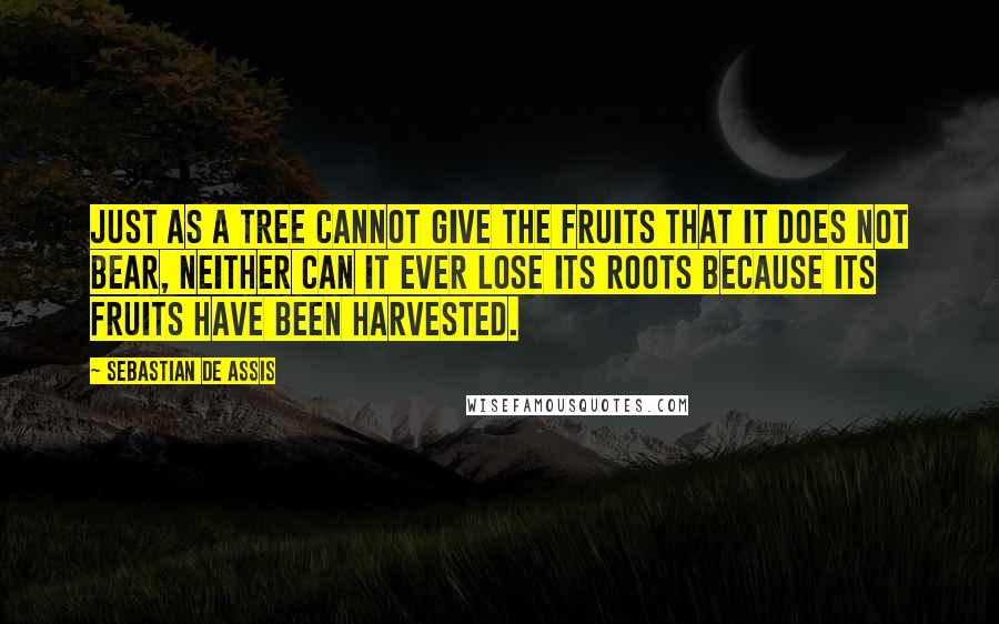 Sebastian De Assis Quotes: Just as a tree cannot give the fruits that it does not bear, neither can it ever lose its roots because its fruits have been harvested.