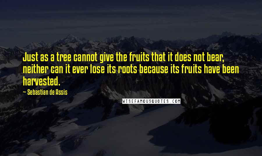 Sebastian De Assis Quotes: Just as a tree cannot give the fruits that it does not bear, neither can it ever lose its roots because its fruits have been harvested.