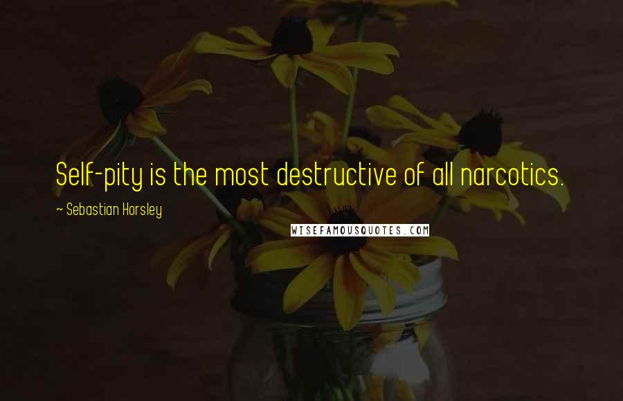 Sebastian Horsley Quotes: Self-pity is the most destructive of all narcotics.