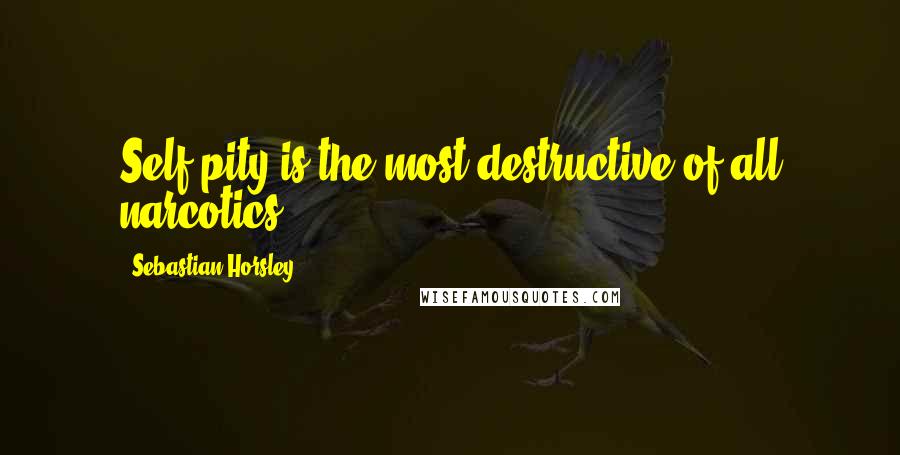 Sebastian Horsley Quotes: Self-pity is the most destructive of all narcotics.