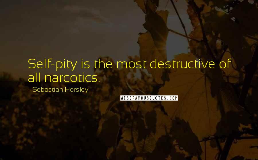 Sebastian Horsley Quotes: Self-pity is the most destructive of all narcotics.