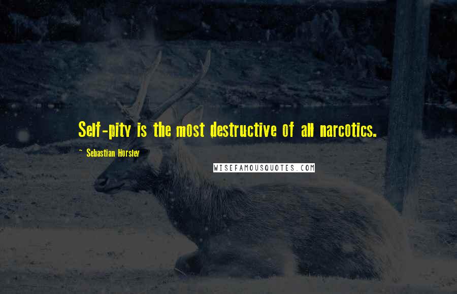 Sebastian Horsley Quotes: Self-pity is the most destructive of all narcotics.