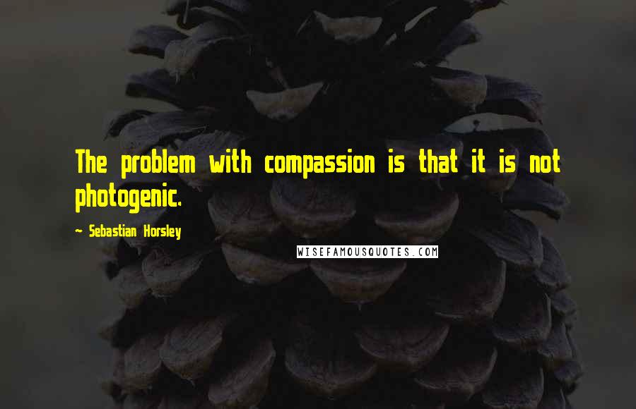 Sebastian Horsley Quotes: The problem with compassion is that it is not photogenic.