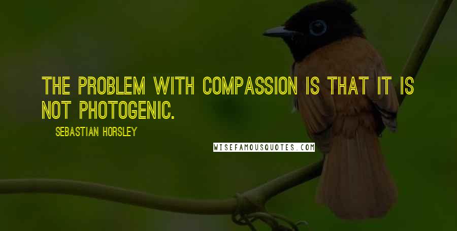 Sebastian Horsley Quotes: The problem with compassion is that it is not photogenic.