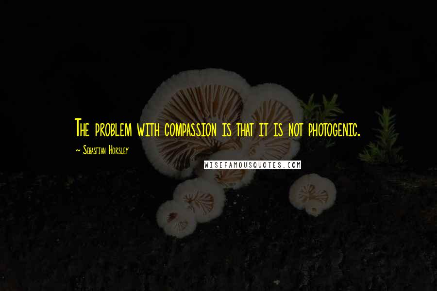 Sebastian Horsley Quotes: The problem with compassion is that it is not photogenic.