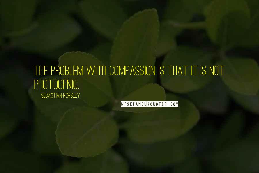 Sebastian Horsley Quotes: The problem with compassion is that it is not photogenic.