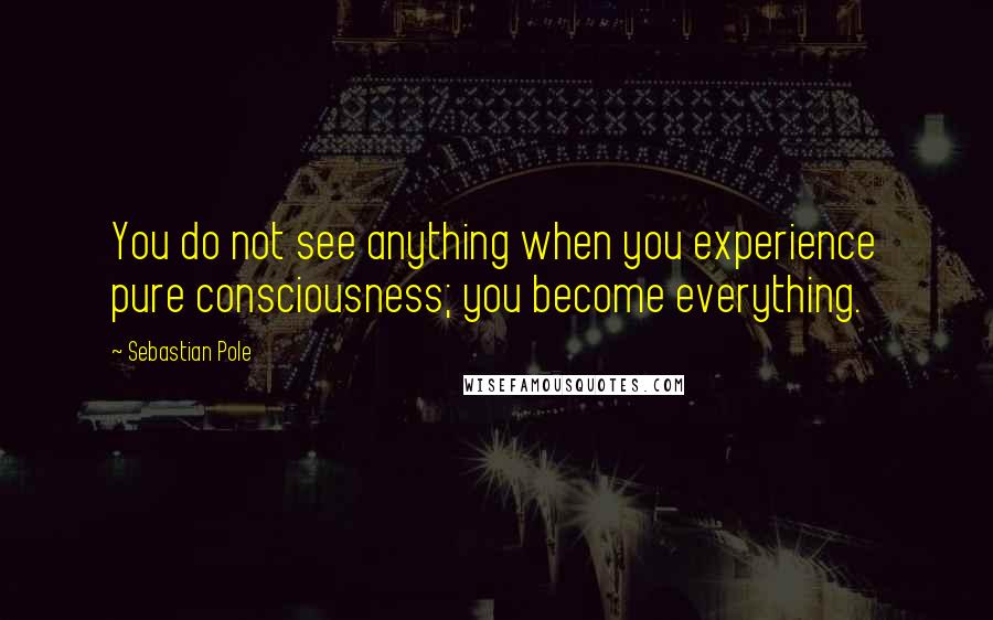 Sebastian Pole Quotes: You do not see anything when you experience pure consciousness; you become everything.