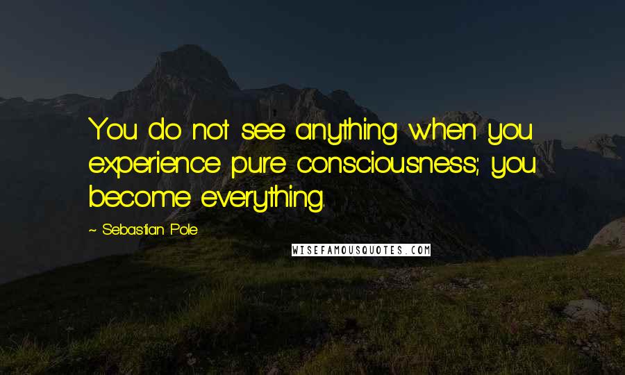 Sebastian Pole Quotes: You do not see anything when you experience pure consciousness; you become everything.