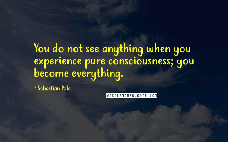 Sebastian Pole Quotes: You do not see anything when you experience pure consciousness; you become everything.