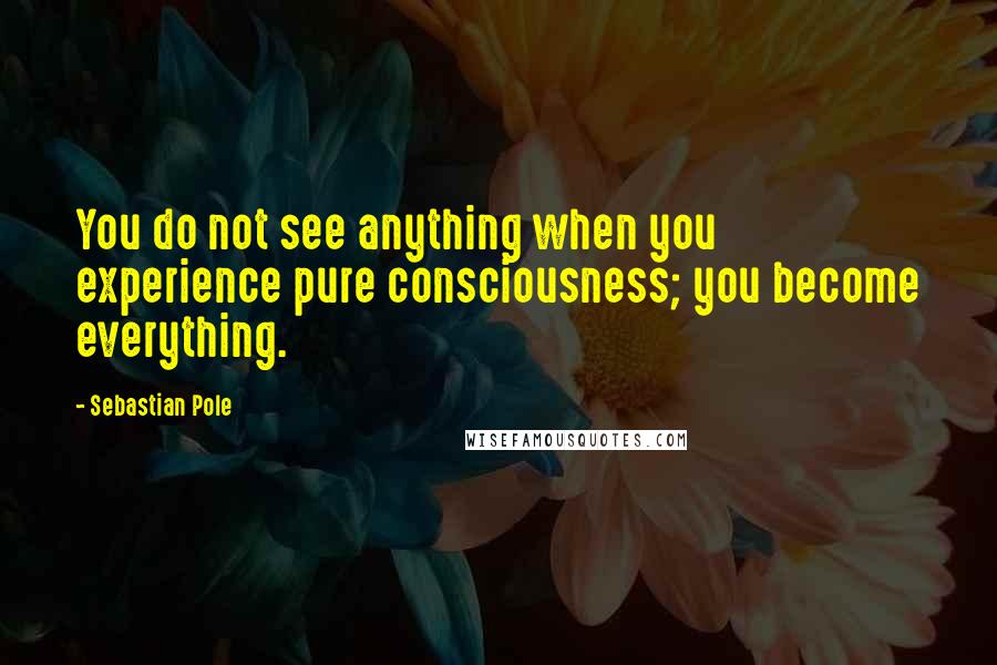 Sebastian Pole Quotes: You do not see anything when you experience pure consciousness; you become everything.