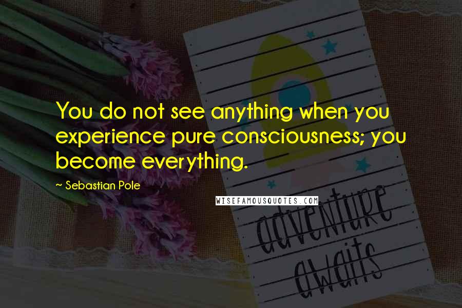 Sebastian Pole Quotes: You do not see anything when you experience pure consciousness; you become everything.