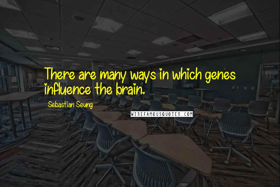 Sebastian Seung Quotes: There are many ways in which genes influence the brain.