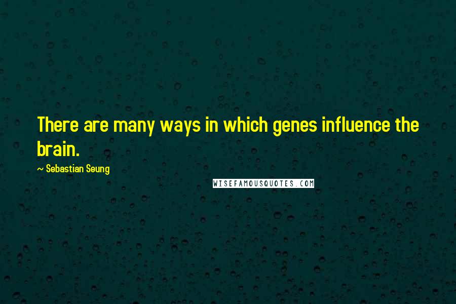 Sebastian Seung Quotes: There are many ways in which genes influence the brain.