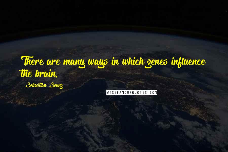 Sebastian Seung Quotes: There are many ways in which genes influence the brain.