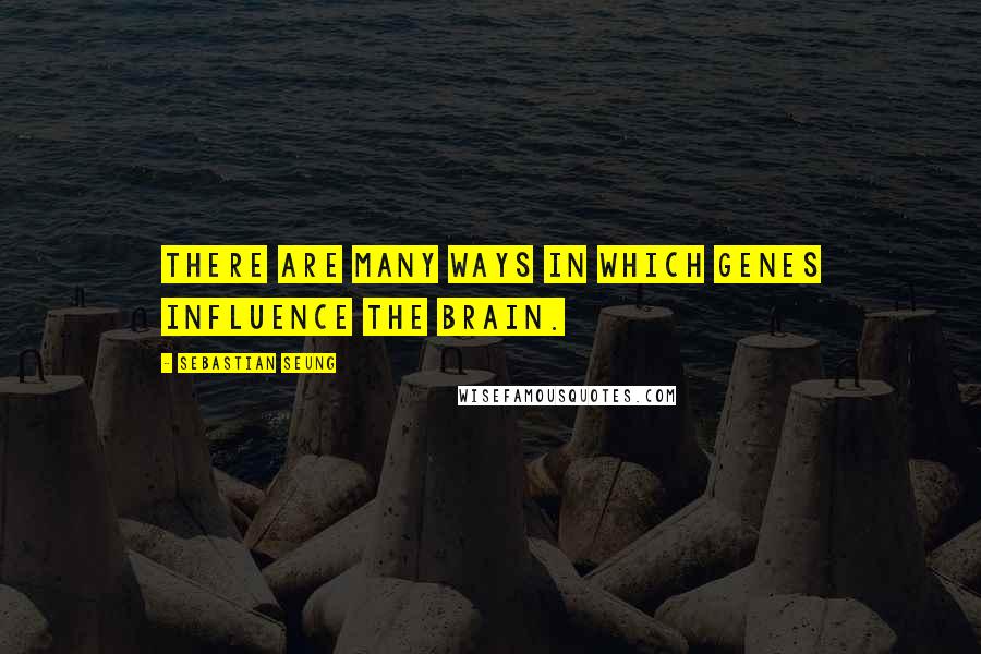 Sebastian Seung Quotes: There are many ways in which genes influence the brain.