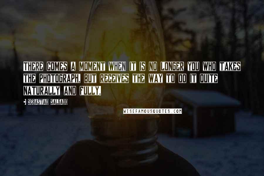 Sebastiao Salgado Quotes: There comes a moment when it is no longer you who takes the photograph, but receives the way to do it quite naturally and fully.