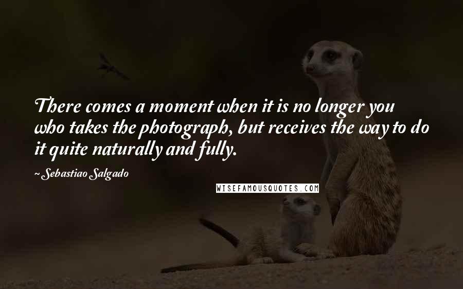 Sebastiao Salgado Quotes: There comes a moment when it is no longer you who takes the photograph, but receives the way to do it quite naturally and fully.