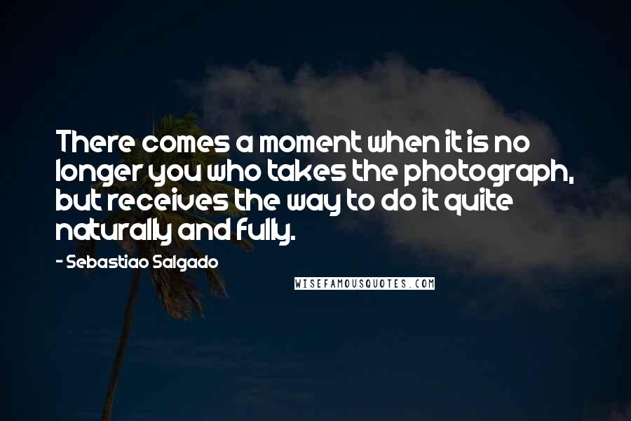 Sebastiao Salgado Quotes: There comes a moment when it is no longer you who takes the photograph, but receives the way to do it quite naturally and fully.