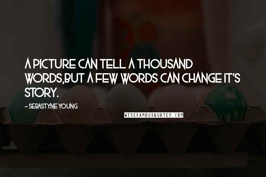 Sebastyne Young Quotes: A picture can tell a thousand words,but a few words can change it's story.