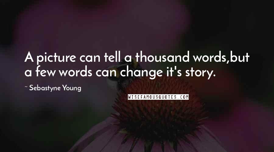 Sebastyne Young Quotes: A picture can tell a thousand words,but a few words can change it's story.