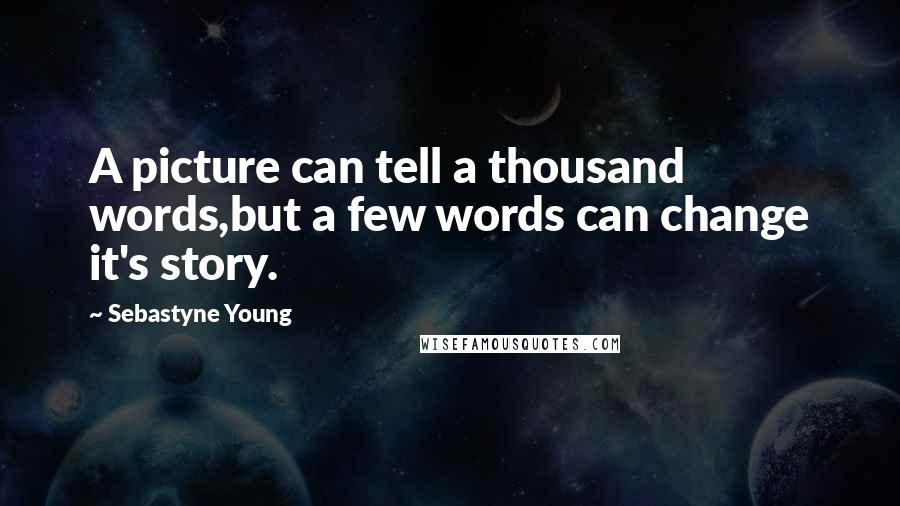 Sebastyne Young Quotes: A picture can tell a thousand words,but a few words can change it's story.