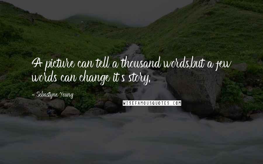 Sebastyne Young Quotes: A picture can tell a thousand words,but a few words can change it's story.