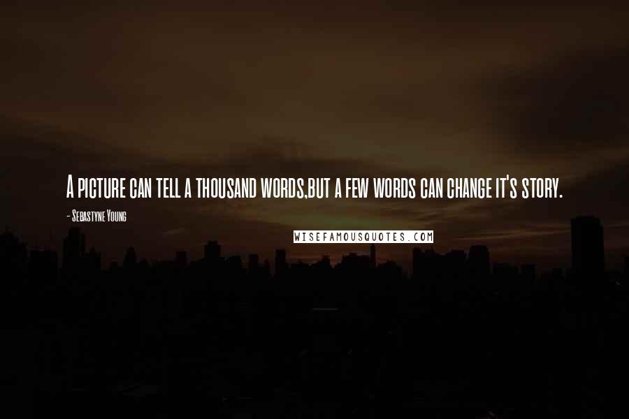 Sebastyne Young Quotes: A picture can tell a thousand words,but a few words can change it's story.
