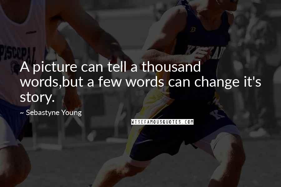 Sebastyne Young Quotes: A picture can tell a thousand words,but a few words can change it's story.