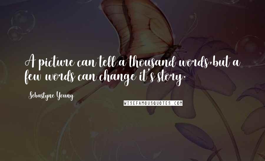 Sebastyne Young Quotes: A picture can tell a thousand words,but a few words can change it's story.