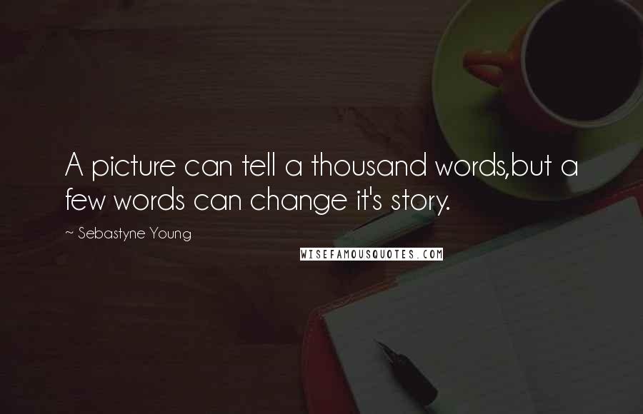 Sebastyne Young Quotes: A picture can tell a thousand words,but a few words can change it's story.