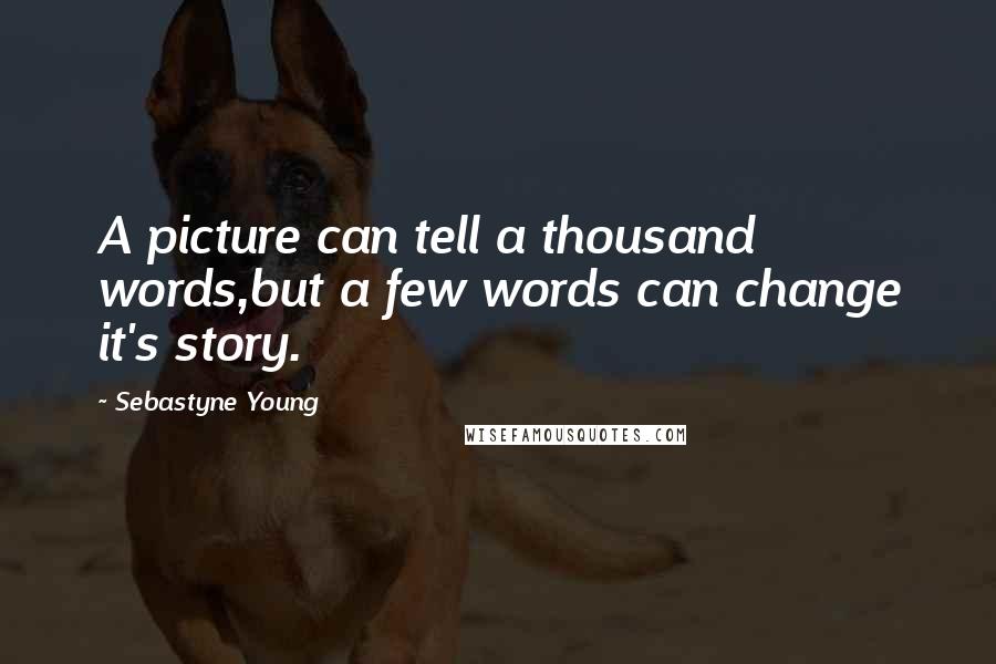 Sebastyne Young Quotes: A picture can tell a thousand words,but a few words can change it's story.