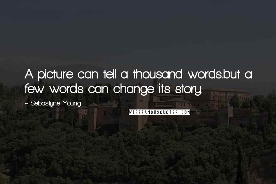 Sebastyne Young Quotes: A picture can tell a thousand words,but a few words can change it's story.