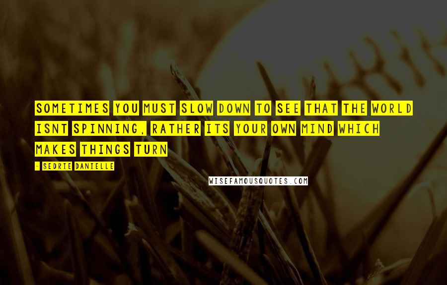 Sedrie Danielle Quotes: Sometimes you must slow down to see that the world isnt spinning, rather its your own mind which makes things turn