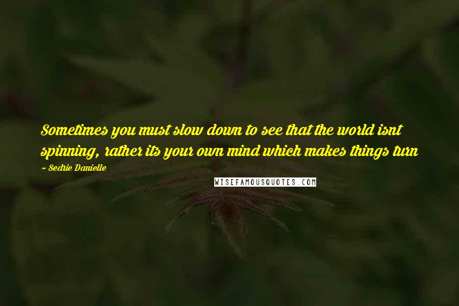 Sedrie Danielle Quotes: Sometimes you must slow down to see that the world isnt spinning, rather its your own mind which makes things turn