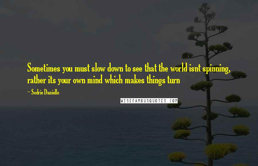 Sedrie Danielle Quotes: Sometimes you must slow down to see that the world isnt spinning, rather its your own mind which makes things turn