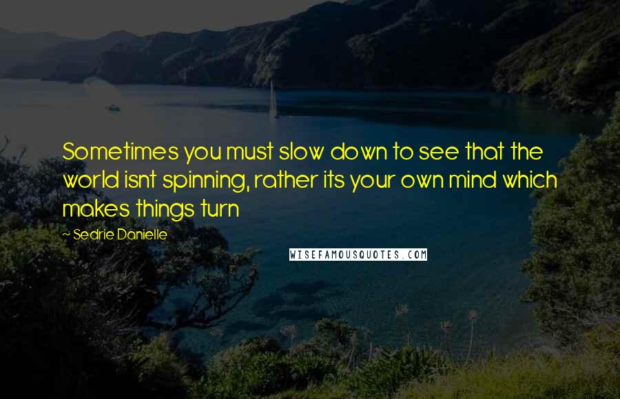 Sedrie Danielle Quotes: Sometimes you must slow down to see that the world isnt spinning, rather its your own mind which makes things turn